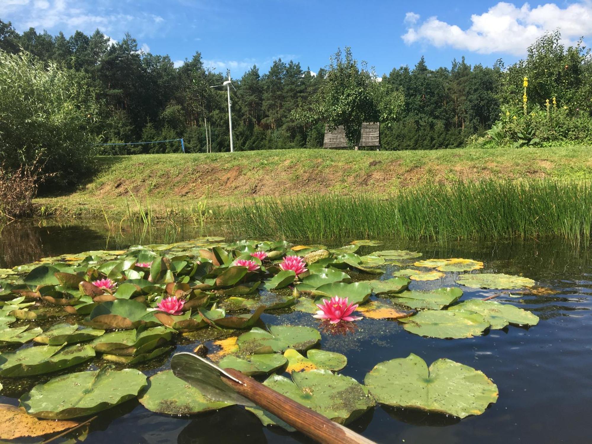 Villa Bebnikat Osada Lesna Puszcza Notecka Extérieur photo