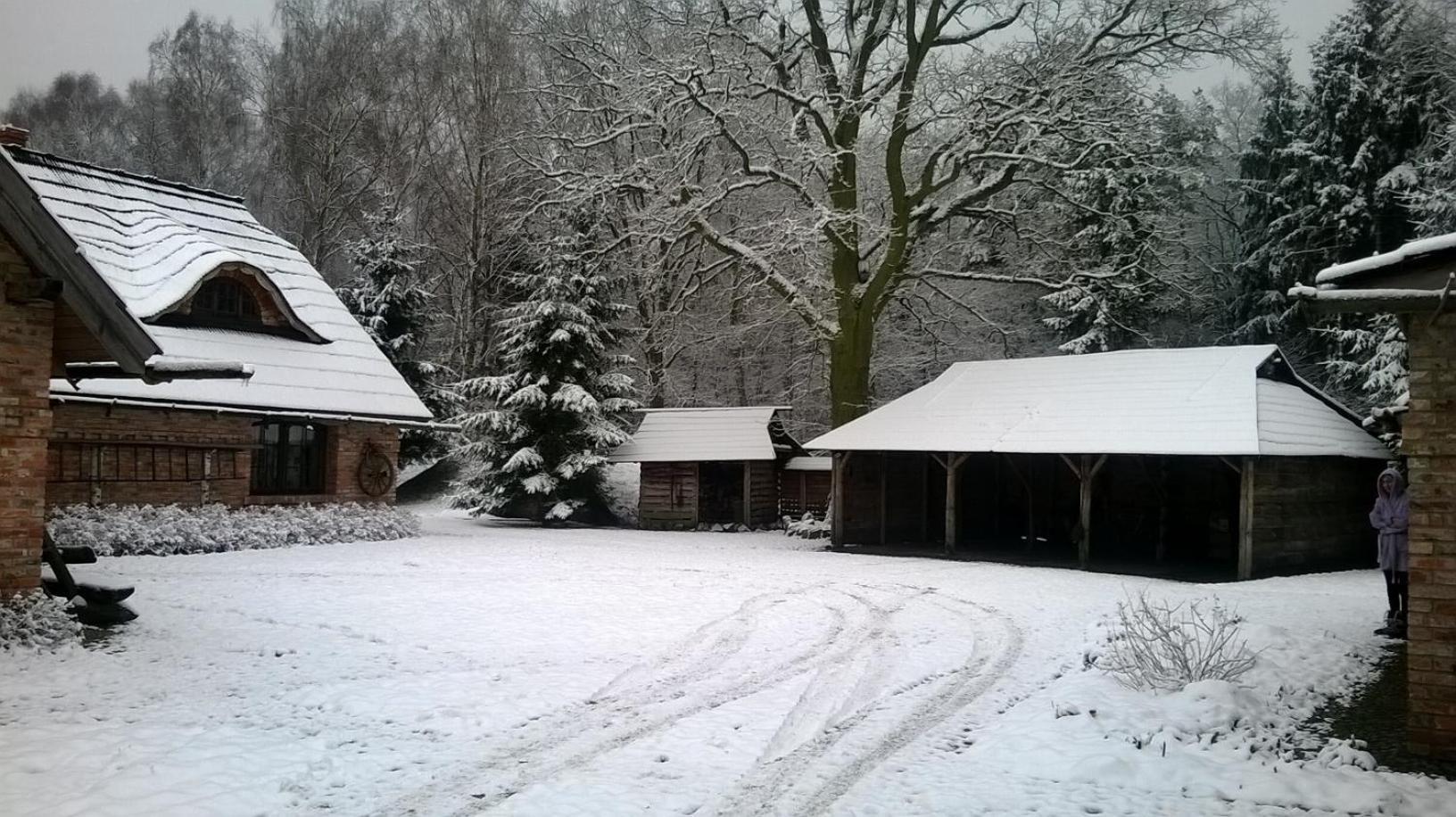 Villa Bebnikat Osada Lesna Puszcza Notecka Extérieur photo